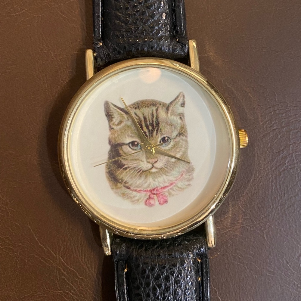 Cat Watch